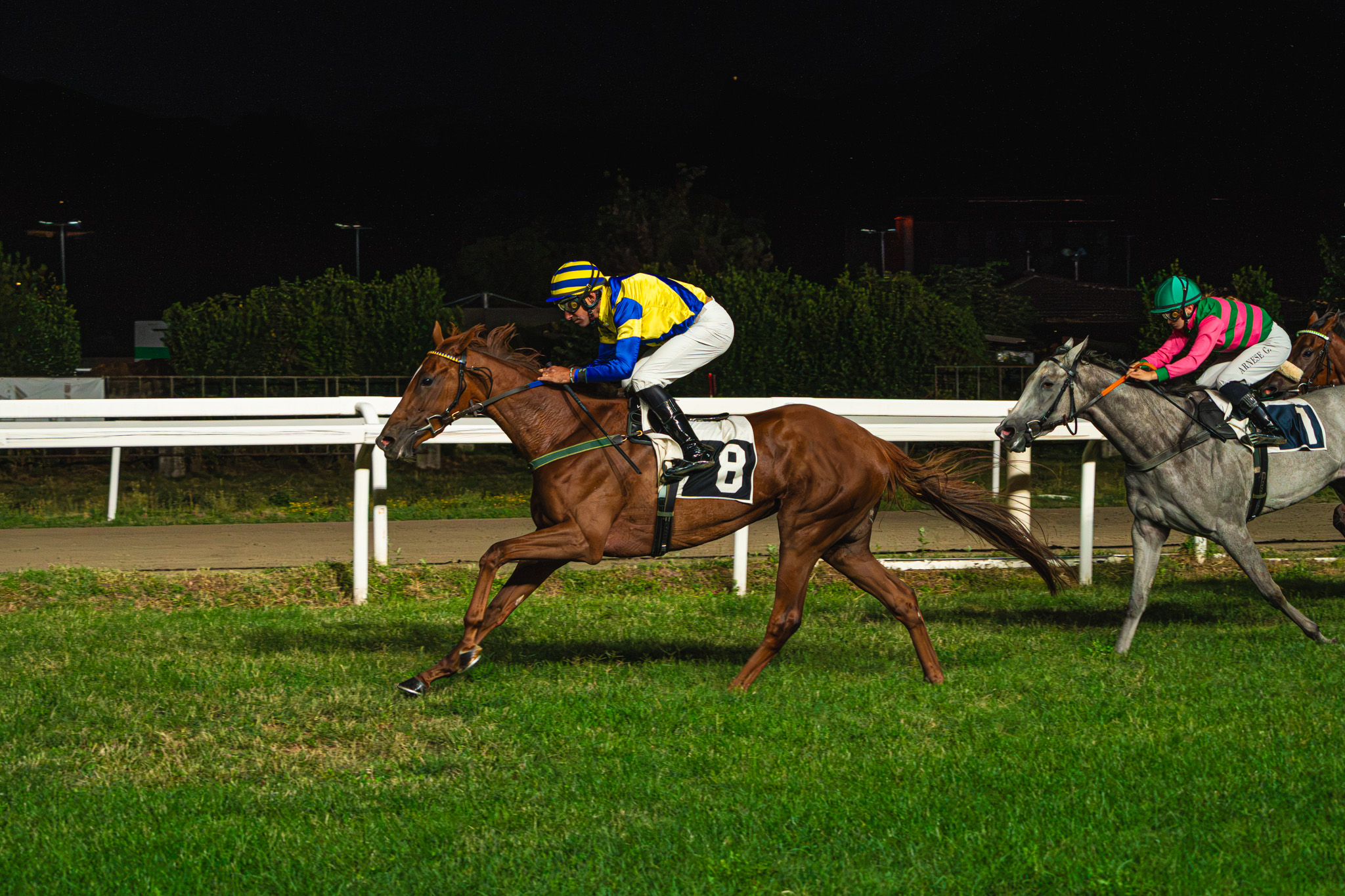 Gare combattute e spettacolo all’Ippodromo Varese Park Racecourse