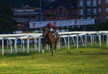Varese Park Racecourse, una serata di emozioni: sei vittorie e l’omaggio a Varenne