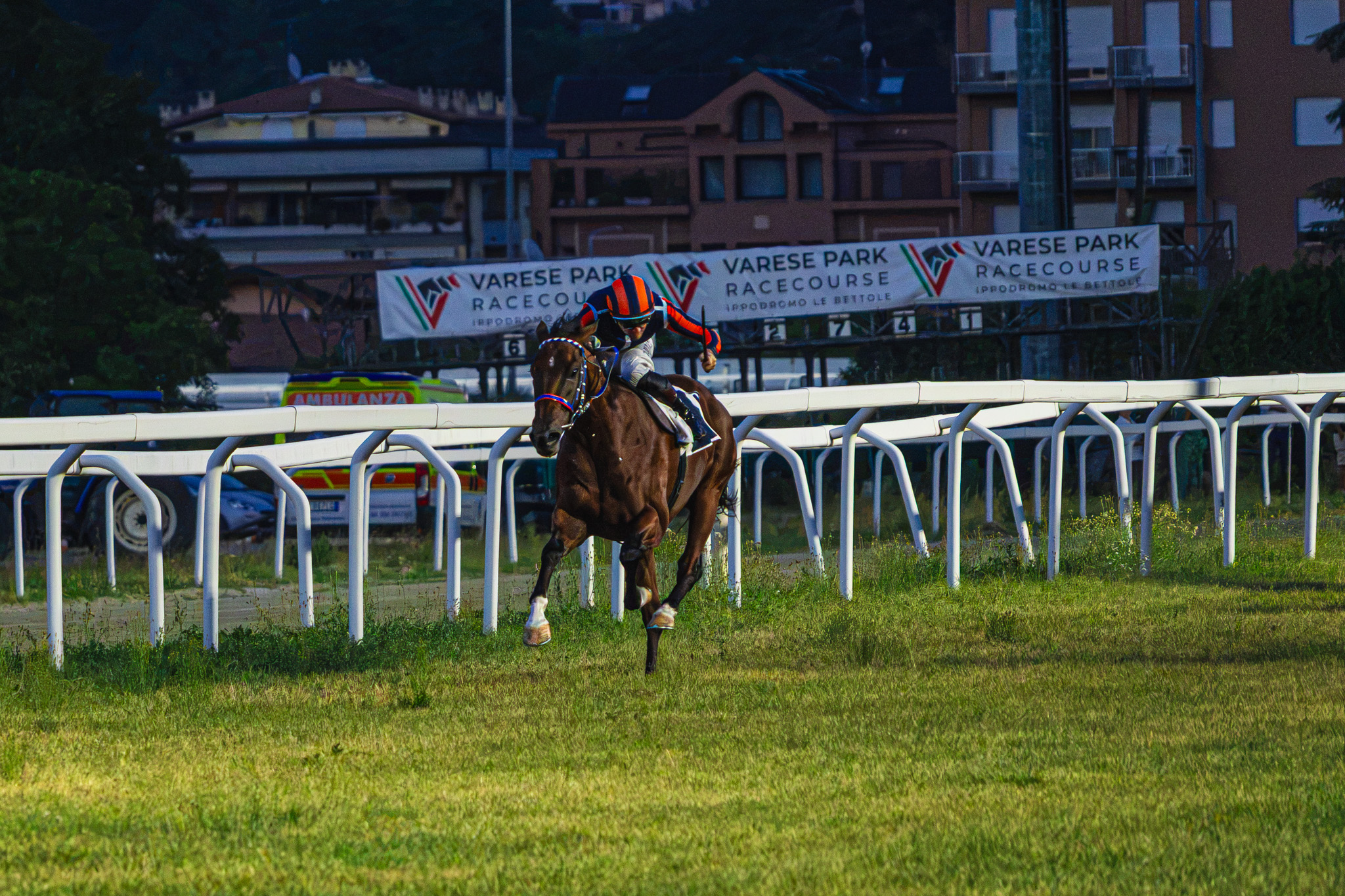 Varese Park Racecourse, una serata di emozioni: sei vittorie e l’omaggio a Varenne