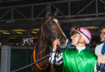 Varese Park Racecourse, sei corse e tanto spettacolo: Lisbeth firma il clou della serata