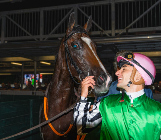 Varese Park Racecourse, sei corse e tanto spettacolo: Lisbeth firma il clou della serata