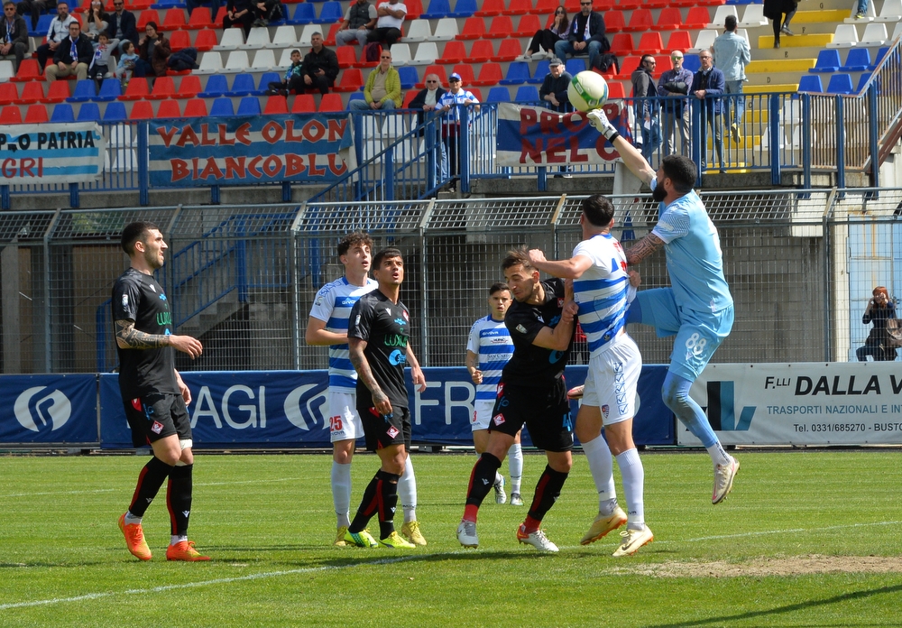 Pro Patria: settimana decisiva per i raggruppamenti. Scatta il toto Girone di Serie D