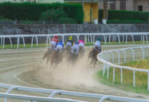 Varese Park Racecourse – Bossa concede il bis alle Bettole, Lethal Nigio si prende il Premio Al Borducan
