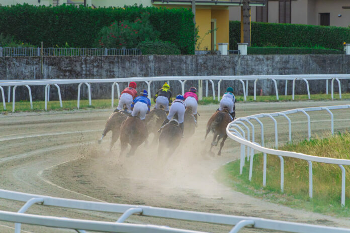 Quarta serata 2026 Ippodromo Varese (1)