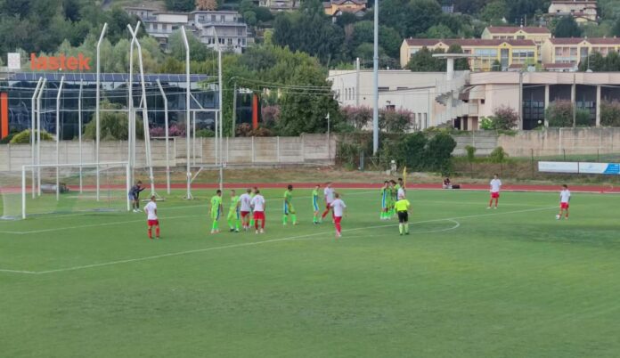 Varese-Pro Palazzolo (2)