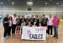 Eagles Volley e Yellow Panthers puntano in alto: numeri in aumento, la maschile sbarca ad Albizzate