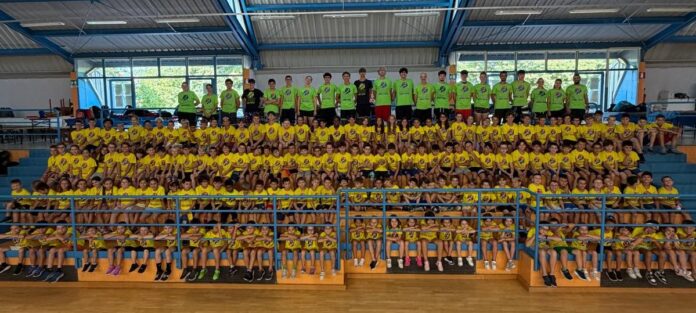 Busto Basket Lions (4)