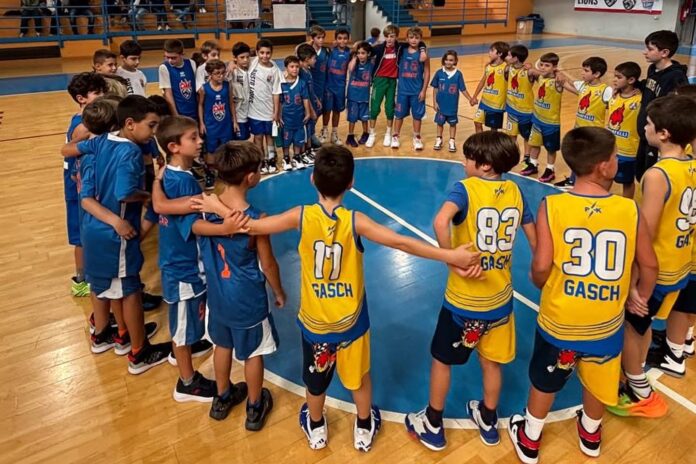 busto basket lions