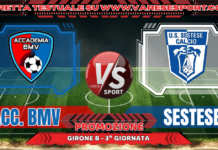 Accademia BMV – Sestese, la diretta