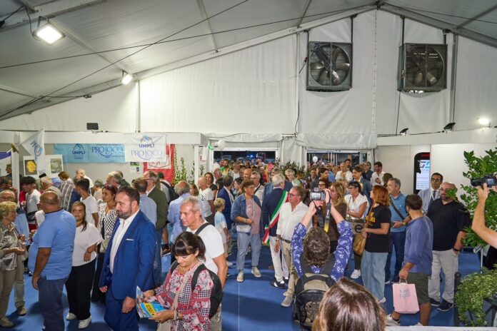 Fiera Varese (2)
