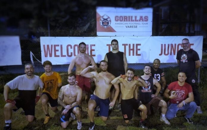 Gorillas Varese