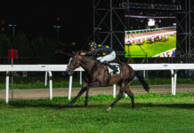 Le Bettole, una serata di grande ippica: Midnight Mask firma il Premio Guido Ermolli