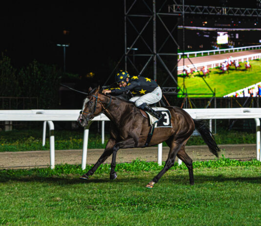 Le Bettole, una serata di grande ippica: Midnight Mask firma il Premio Guido Ermolli