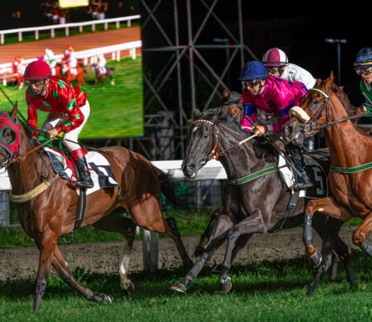Ippodromo di Varese, sipario sull’estate: pubblico record e spettacolo nell’ultima notte di corse