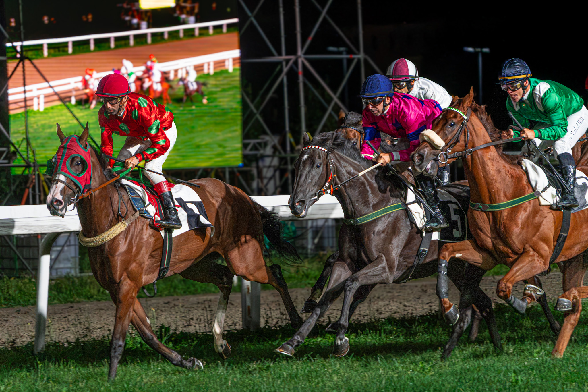 Ippodromo di Varese, sipario sull’estate: pubblico record e spettacolo nell’ultima notte di corse