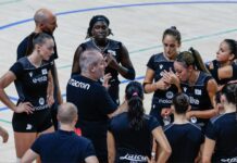 Emergenza e-work arena: la UYBA si sposta al Centro Pavesi. Stop agli abbonamenti, Mimmo Fusco verso una nuova sede