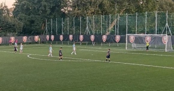 Varese-Cedratese