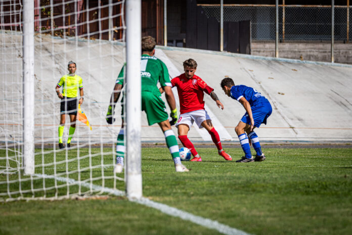 Varese - Pro Sesto 0-2 (4)