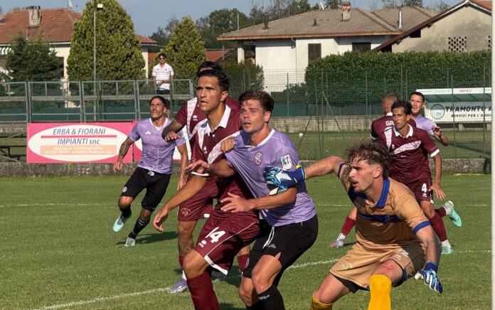 Vergiatese-Legnano 2-3 (11)