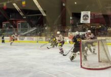 Picchiata devastante: rimontona dei Mastini che ribaltano il Feltre (3-4)