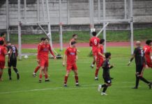 7^ – Gavirate a caccia di conferme, la Sestese visita la capolista. Gallarate-SC United sa di playoff