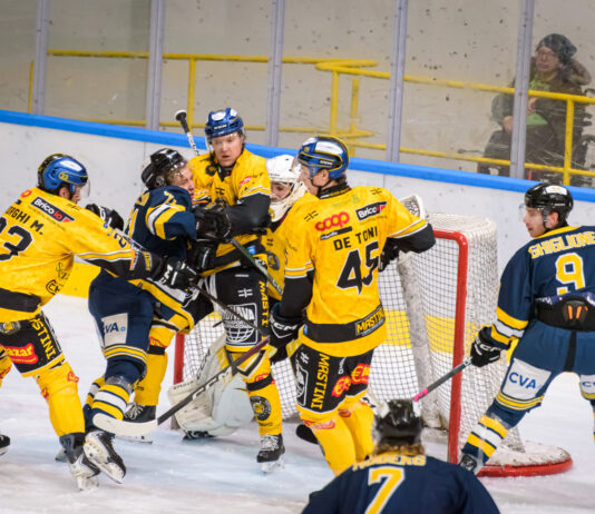 Mastini – Aosta 4-6 IN FOTO