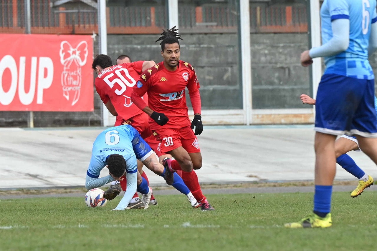 Le pagelle – SpettacoLARI! Gubellini da 8 firma una vittoria pesantissima. Tre insufficienze per il Varese